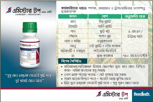 এমিস্টার টপ বিবরণ