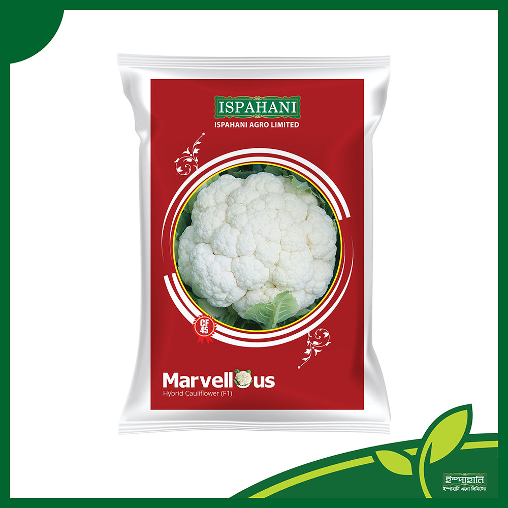 মার্ভেলাস সিএফ-৪৫ (Marvelous CF-45) - উচ্চ ফলনশীল আগাম ফুলকপি বীজ |ইস্পাহানি এগ্রো লিমিটেড| ৪৫ দিনে ফসল