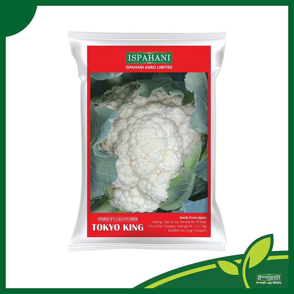টোকিও কিং (Tokyo King) - জাপানি আমদানিকৃত ফুলকপি বীজ |ইস্পাহানি এগ্রো লিমিটেড| ৫৫-৬৬ দিনে ফসল