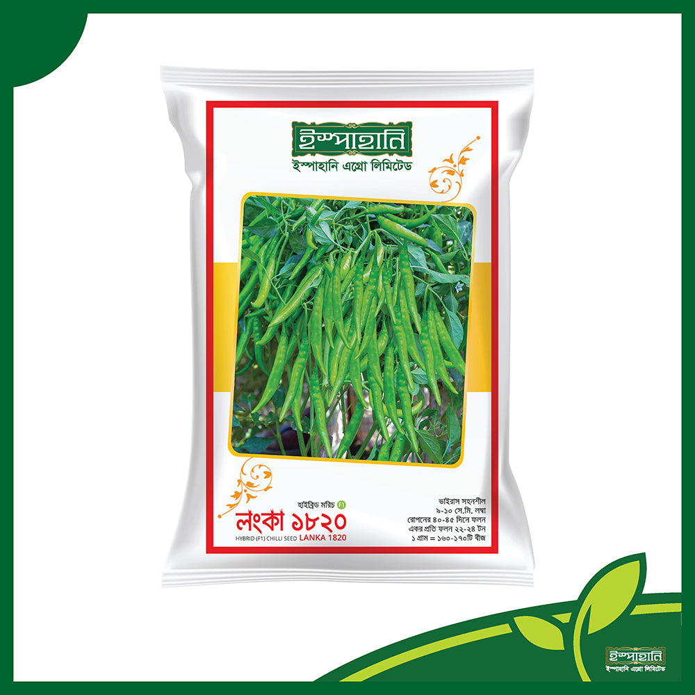 লংকা ১৮২০ (Lanka 1820) - আগাম ও উচ্চ ফলনশীল হাইব্রিড মরিচ বীজ | ৪০-৪৫ দিনে ফসল