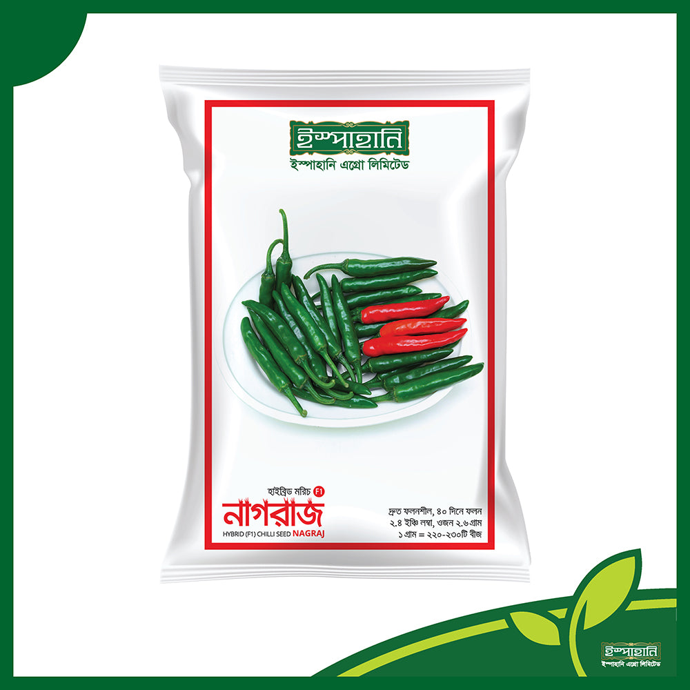 নাগরাজ (Nagraj) হাইব্রিড মরিচ বীজ | ইস্পাহানি এগ্রো লিমিটেড | আগাম উচ্চ ফলনশীল