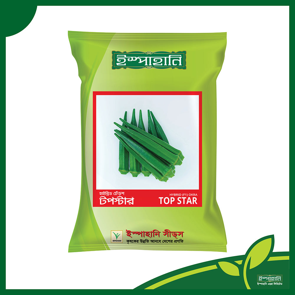 টপ স্টার|ইস্পাহানি এগ্রো|হাইব্রিড ঢেঁড়স বীজ|Top Star|Hybrid Okra Seed|Ispahani Agro