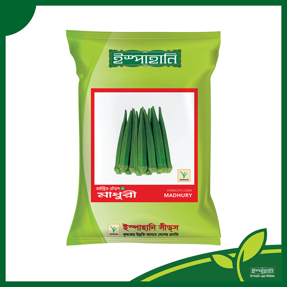 মাধুরী|ইস্পাহানি এগ্রো|হাইব্রিড ঢেঁড়স বীজ|Madhuri|Hybrid Okra Seed|Ispahani Agro