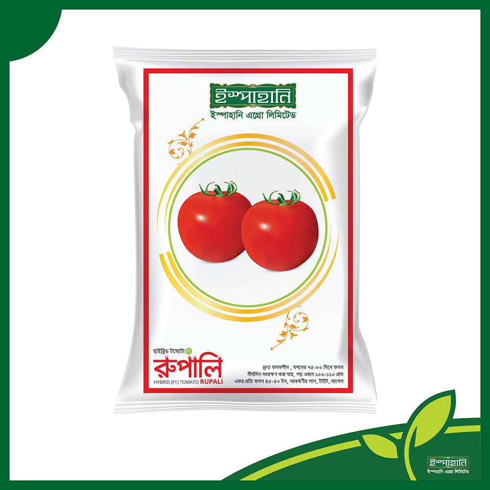রূপালি(Rupali) হাইব্রিড টমেটো বীজ |ইস্পাহানি এগ্রো লিমিটেড|আগাম ও উচ্চ ফলনশীল