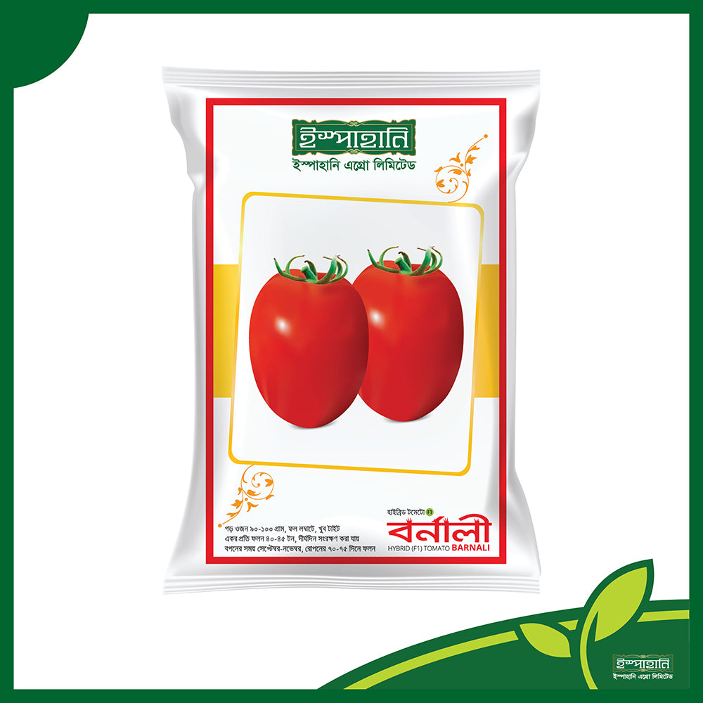 বর্নালী(Bornali) হাইব্রিড টমেটো বীজ |ইস্পাহানি এগ্রো লিমিটেড|আগস্ট-অক্টোবর চাষ ও উচ্চ ফলনশীল