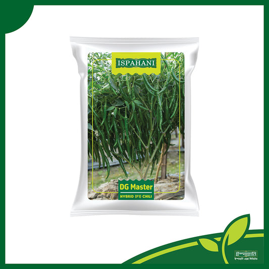 ডিজি মাস্টার (DG Master) হাইব্রিড মরিচ বীজ |ইস্পাহানি এগ্রো লিমিটেড|উচ্চ ফলনশীল