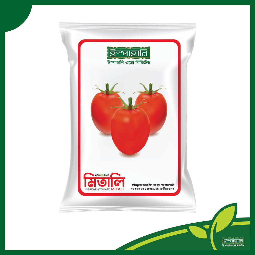 মিতালি(Mitali) হাইব্রিড টমেটো বীজ |ইস্পাহানি এগ্রো লিমিটেড|৬৫-৭০ দিন ফসল ও আগাম চাষ উপযোগী