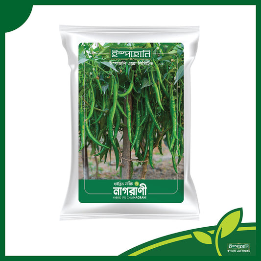 নাগরাণী (Nagrani) হাইব্রিড মরিচ বীজ |ইস্পাহানি এগ্রো লিমিটেড|উচ্চ ফলনশীল
