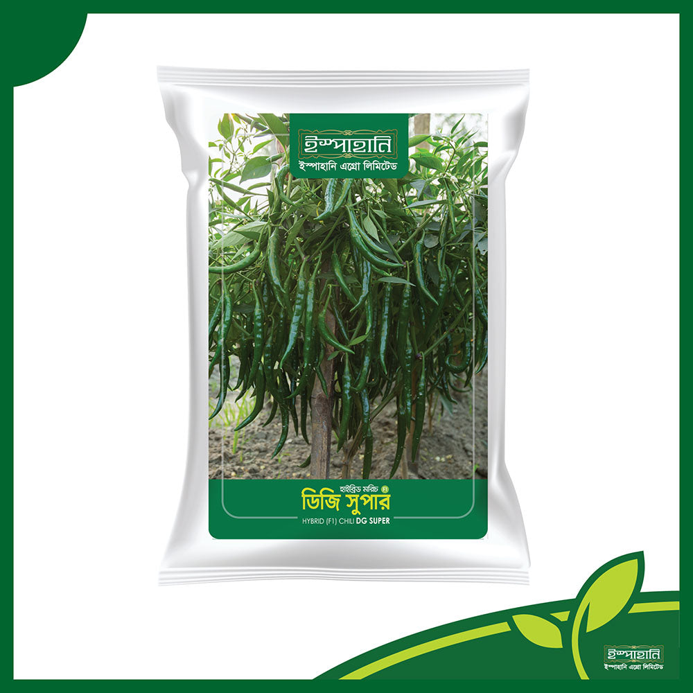 ডিজি সুপার (DG Super) হাইব্রিড মরিচ বীজ |ইস্পাহানি এগ্রো লিমিটেড|উচ্চ ফলনশীল