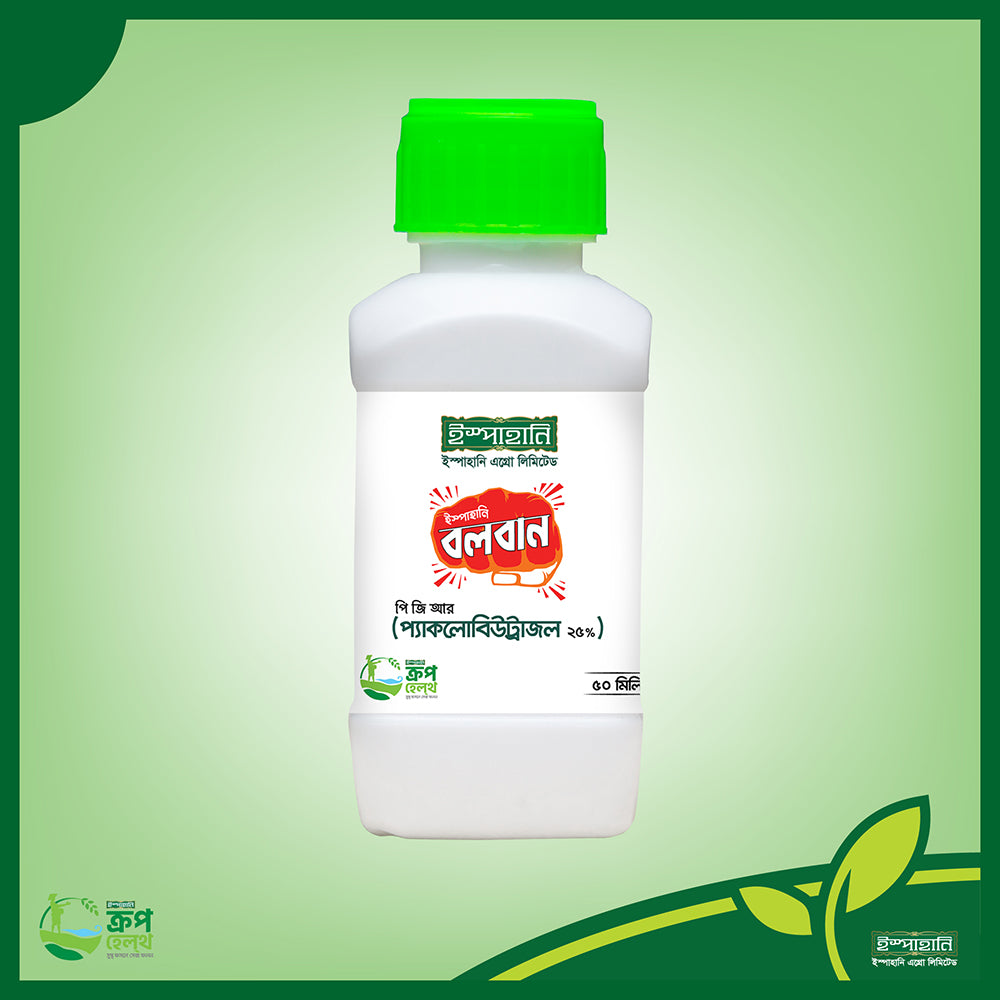 পিজিআর বলবান প্যাক্লোবিউট্রাজল ২৫ এসসি|ইস্পাহানি এগ্রো|PGR Boloban Paclobutrazol 25 SC|Ispahani Agro