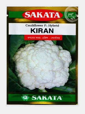 হাইব্রিড ফুলকপি কিরণ