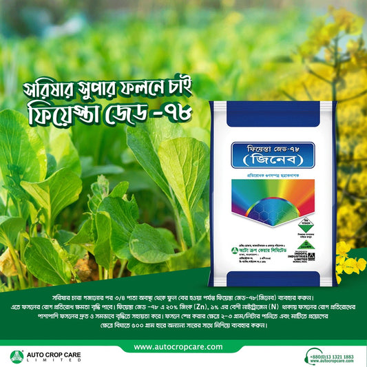 ফিয়েস্তা