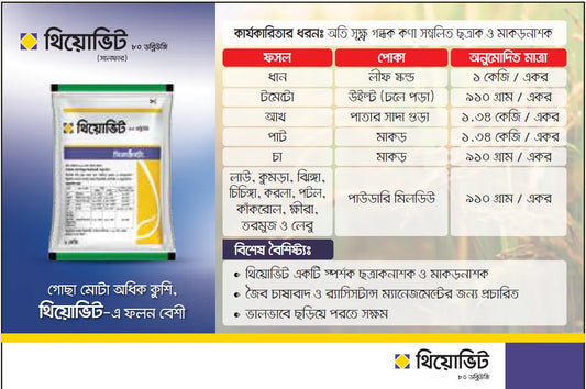 থিয়োভিট