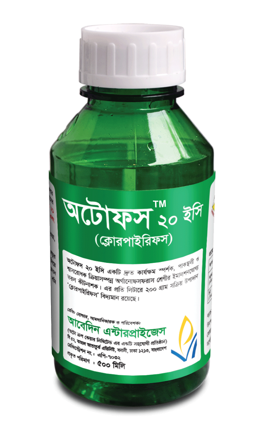 Faqat Moskva transseksuallarining ochiq reklamalari