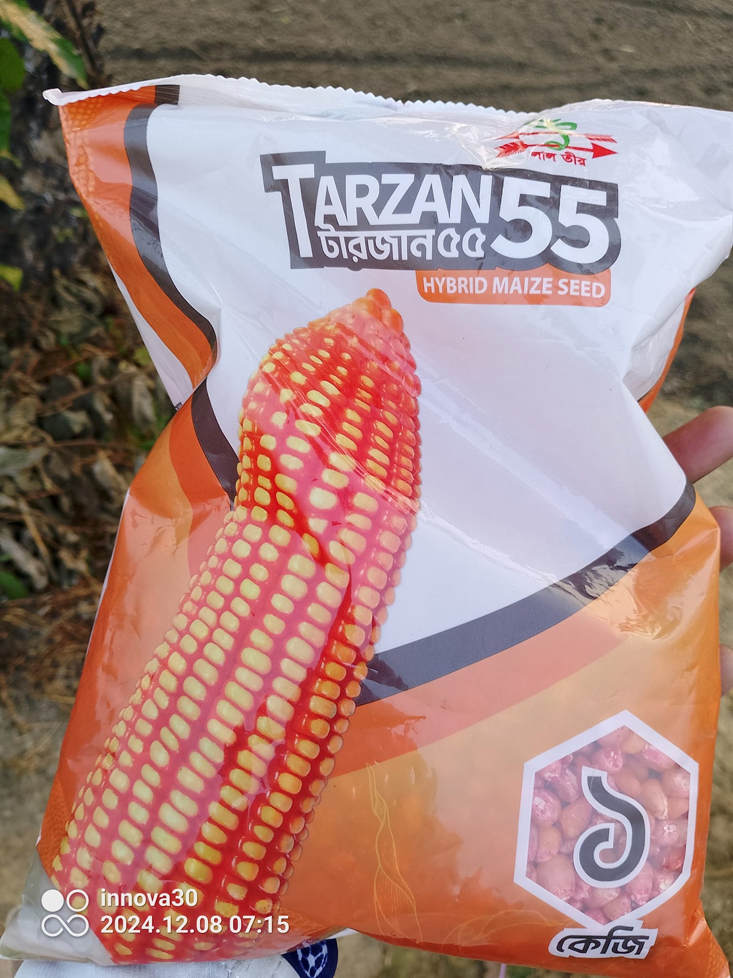 হাইব্রিড ভূট্টা -টারজান ৫৫। লাল তীর।Hybrid Maize-Tarjan 55। Lal teer