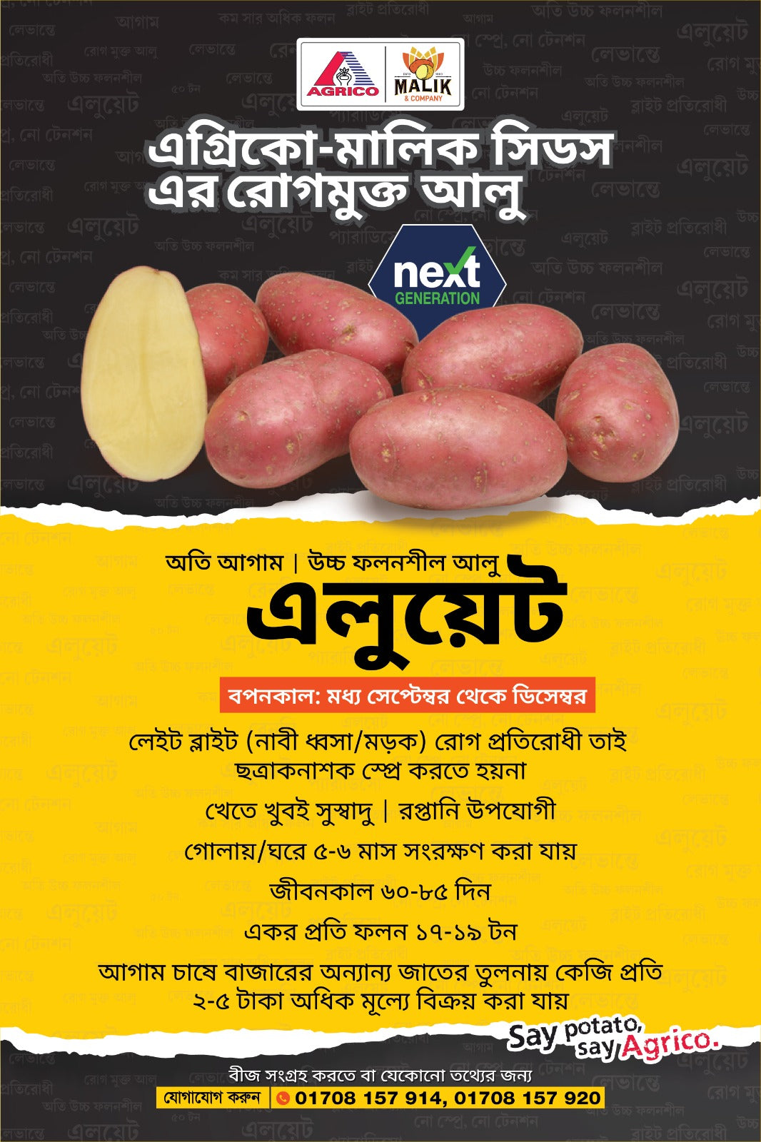 লাল আলু বীজ-এলুয়েট(Alouette)। এ আর মালিক সীডস।অগ্রীম বুকিং চলছে