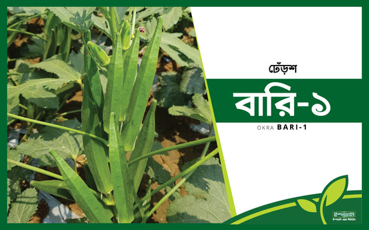 বারি ঢেড়স-১|হাইব্রিড ঢেঁড়স বীজ|ইস্পাহানি এগ্রো