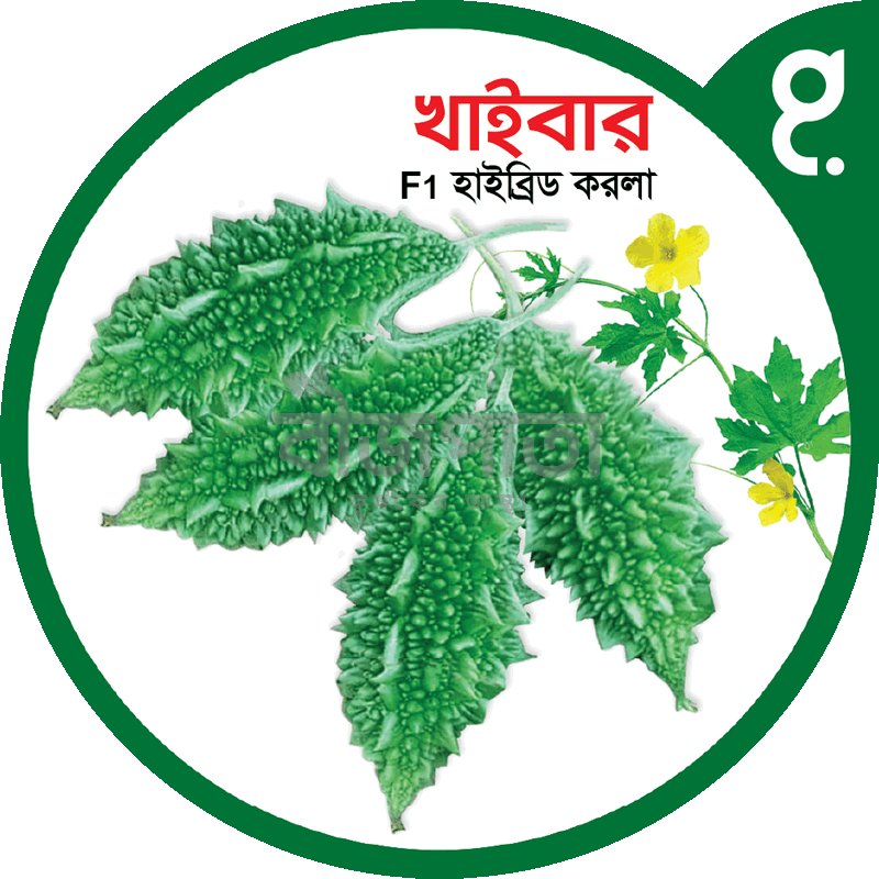খাইবার এফ১-হাইব্রিড করলা বীজ|বীজপাতা|Khaibar F1-Bitter Gourd Seed|Bizpata