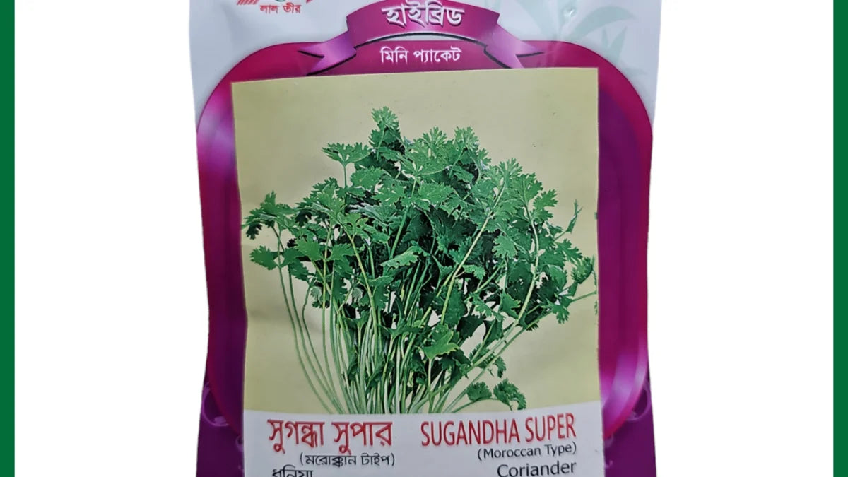 সুগন্ধা সুপার ধনিয়া