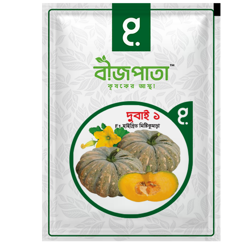 দুবাই ১(Dubai 1)-হাইব্রিড মিষ্টিকুমড়া বীজ|বীজপাতা