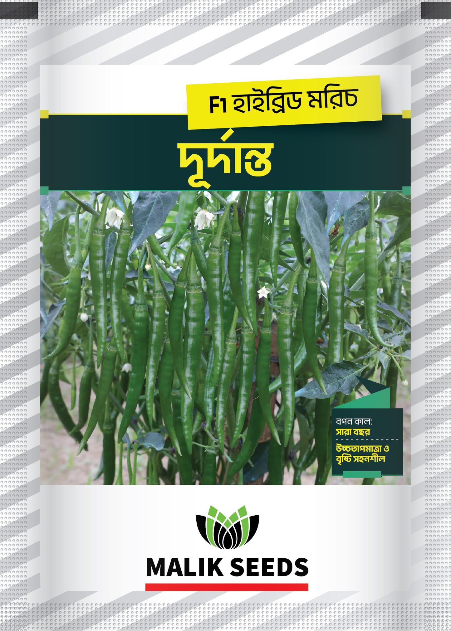 Durdanto-01 -Malik Seeds