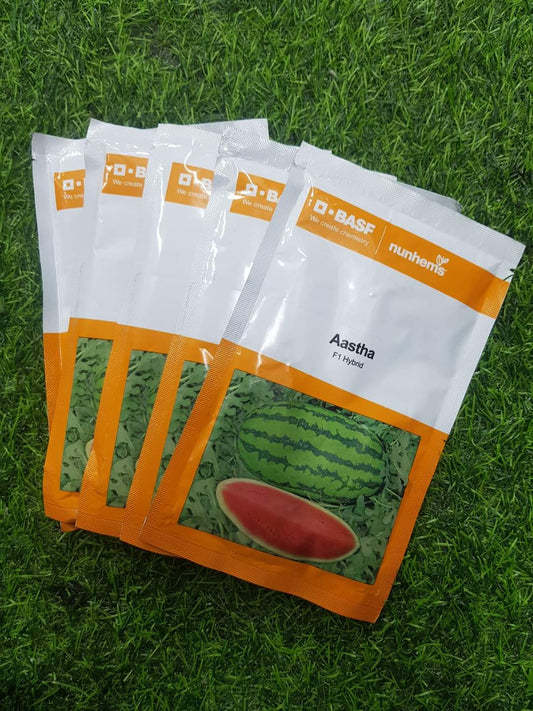 হাইব্রিড তরমুজ-আস্তা।এ আর মালিক সীডস।Hybrid Watermelon-Aastha।AR Malik Seeds