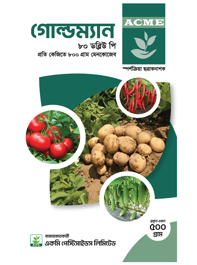 গোল্ডম্যান ৮০ ডব্লিউ পি