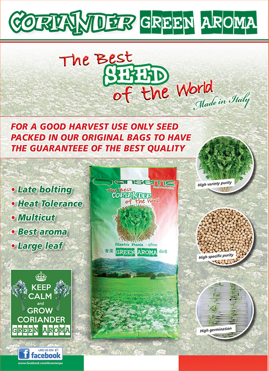 গ্রিন অ্যারোমা|ধনিয়া বীজ|Anseme Seed Producion|Green Aroma|Coriander Seed