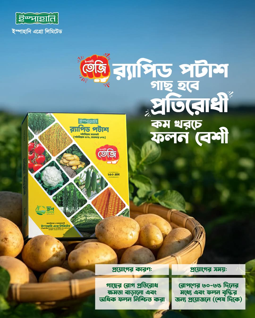 তেজি র্যাপিড পটাশ|ইস্পাহানি এগ্রো|Teji Rapid Potash|Ispahani Agro