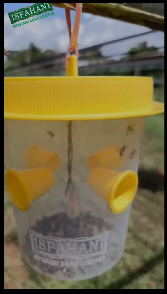 আইবিটি ট্র্যাপ-৩