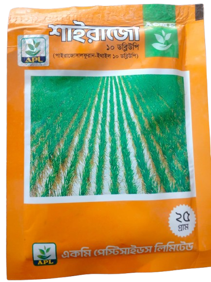 শাইরাজো ১০ডব্লিউপি