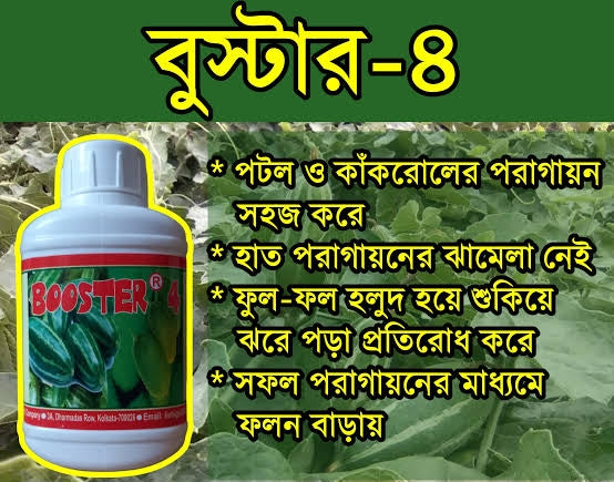 বুস্টার - ৪। পিজিআর।বিদেশি পণ্য। Booster-4। PGR