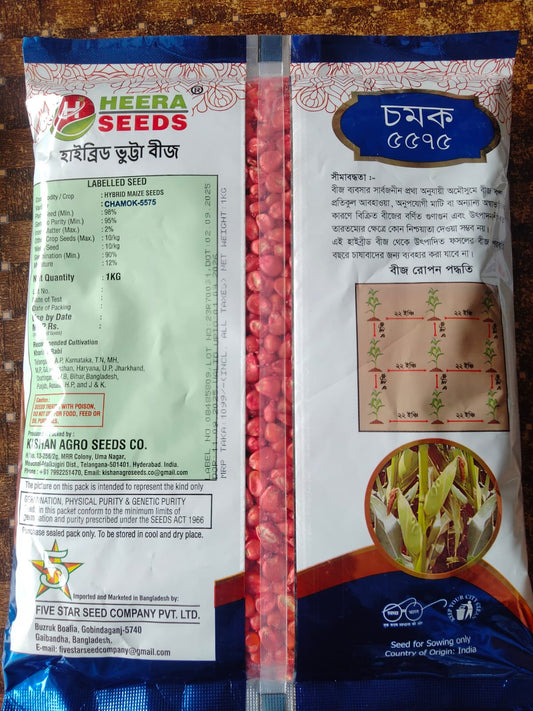 চমক ৫৫৭৫|হাইব্রিড ভূট্টা বীজ|ফাইভ স্টার সীড|Chamok 5575|Hybrid Maize Seed