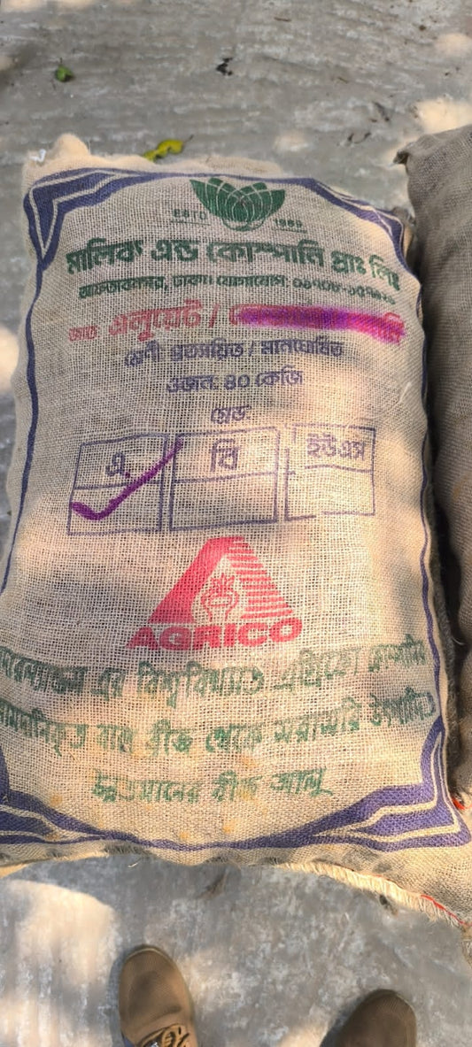 লাল আলু-এলুয়েট। এ আর মালিক সীডস।Red potato- Alouette। AR MALIK SEEDS