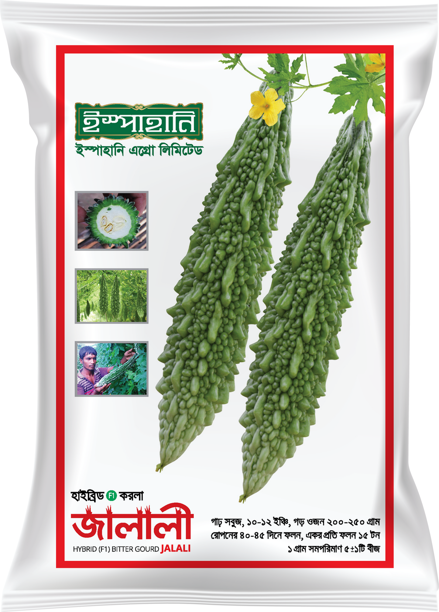 হাইব্রিড করলা জালালী