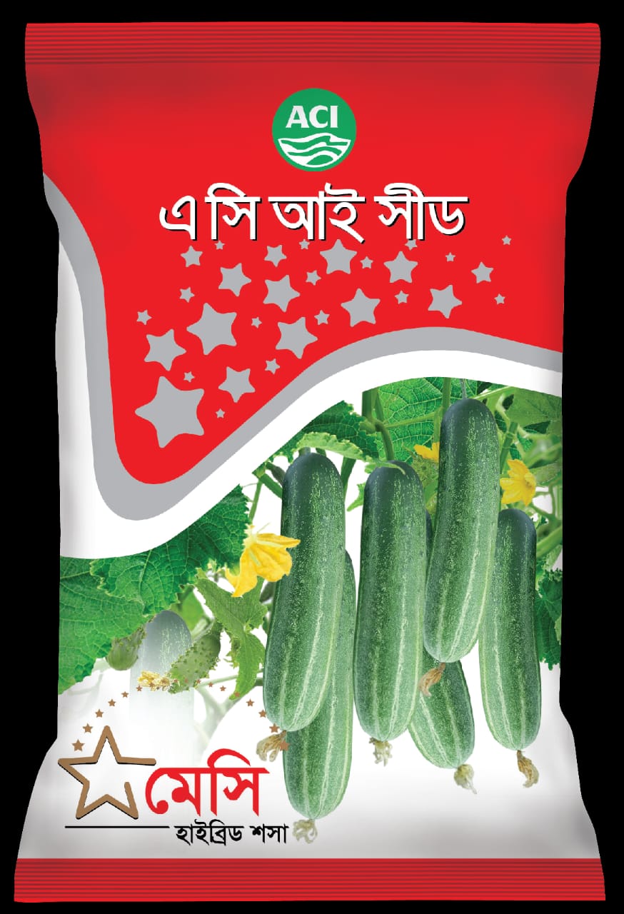 হাইব্রিড শসা-মেসি।এ সি আই সীড।Hybrid Cucumber-Messi।ACI Seed