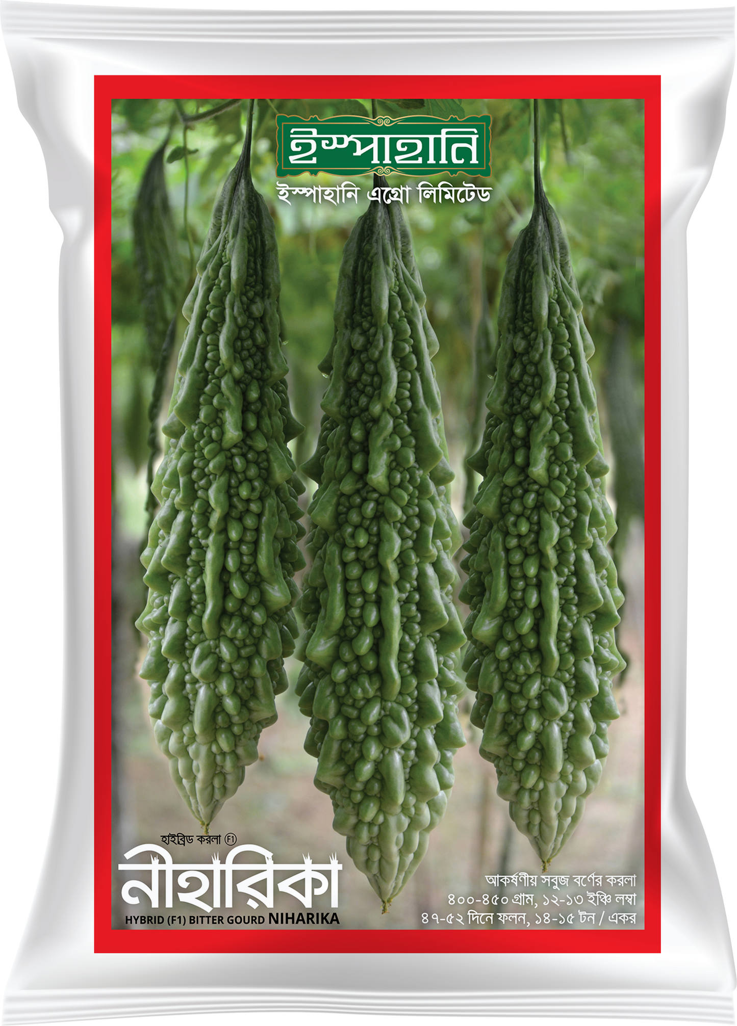 হাইব্রিড করলা নিহারিকা