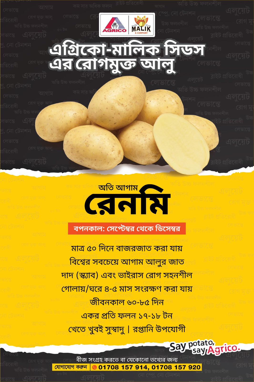 সাদা আলু বীজ-রেনিমি(Ranomi)। এ আর মালিক সীডস।অগ্রীম বুকিং চলছে