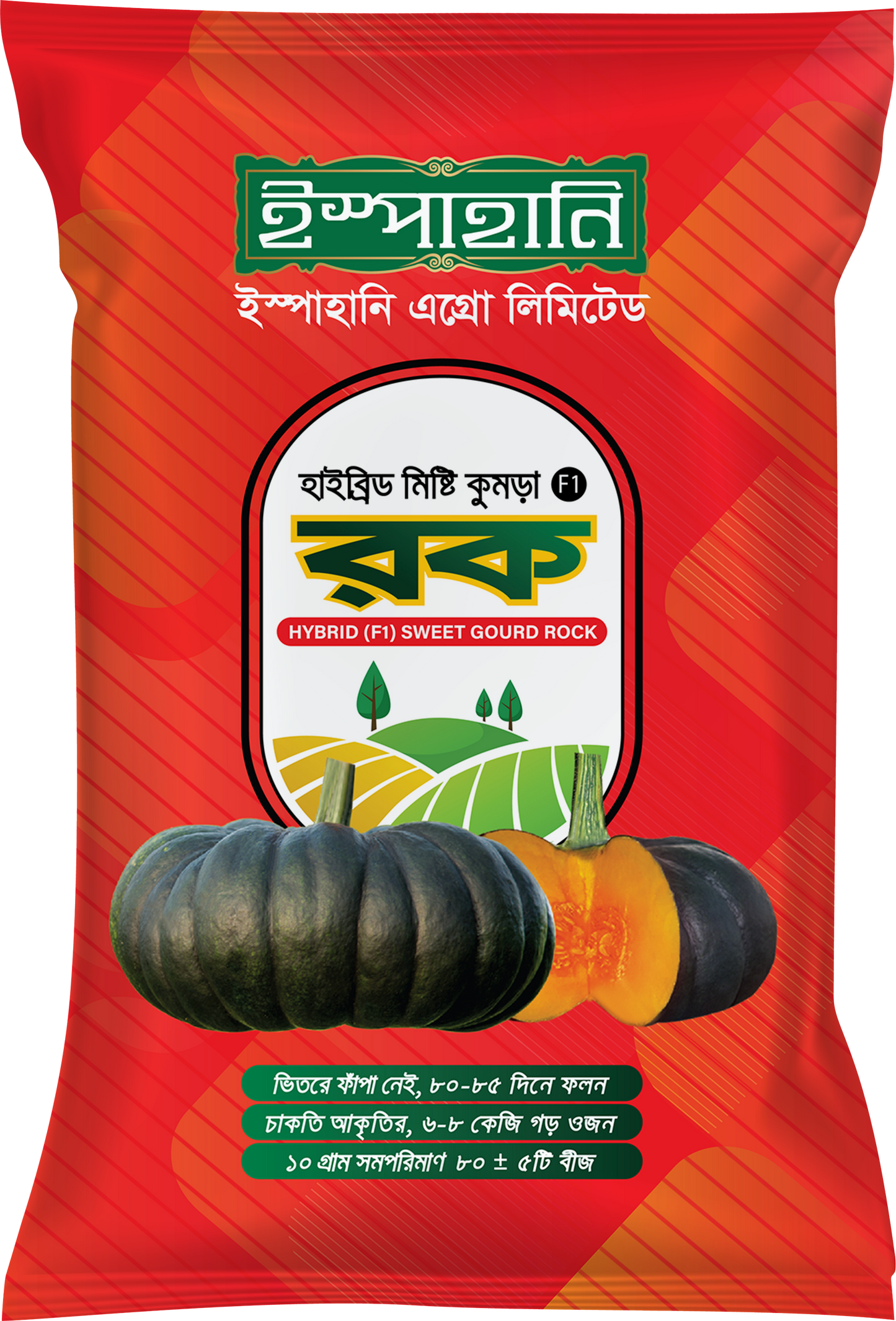 হাইব্রিড মিষ্টিকুমড়া রক