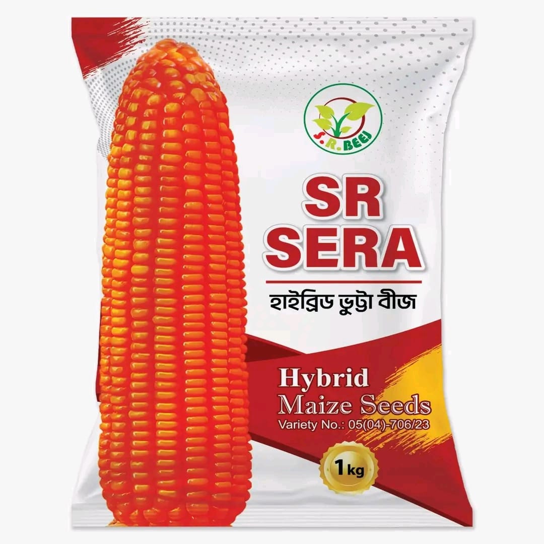 এস আর সেরা (SR SERA)।হাইব্রিড ভূট্টা বীজ।এস আর বীজ