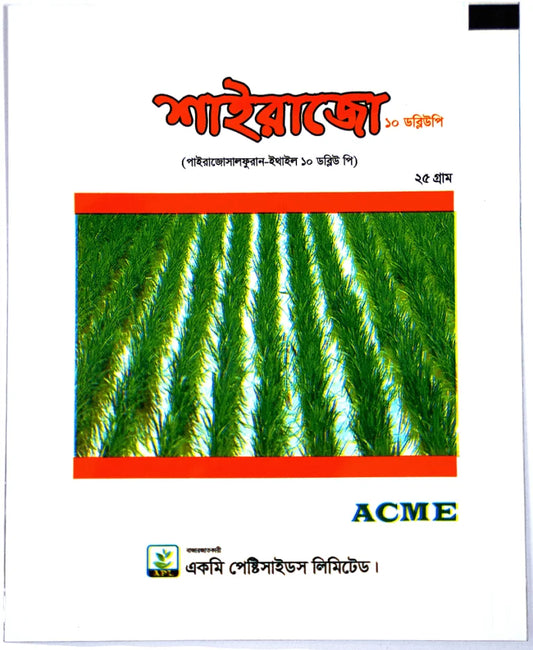 শাইরাজো ১০ডব্লিউপি