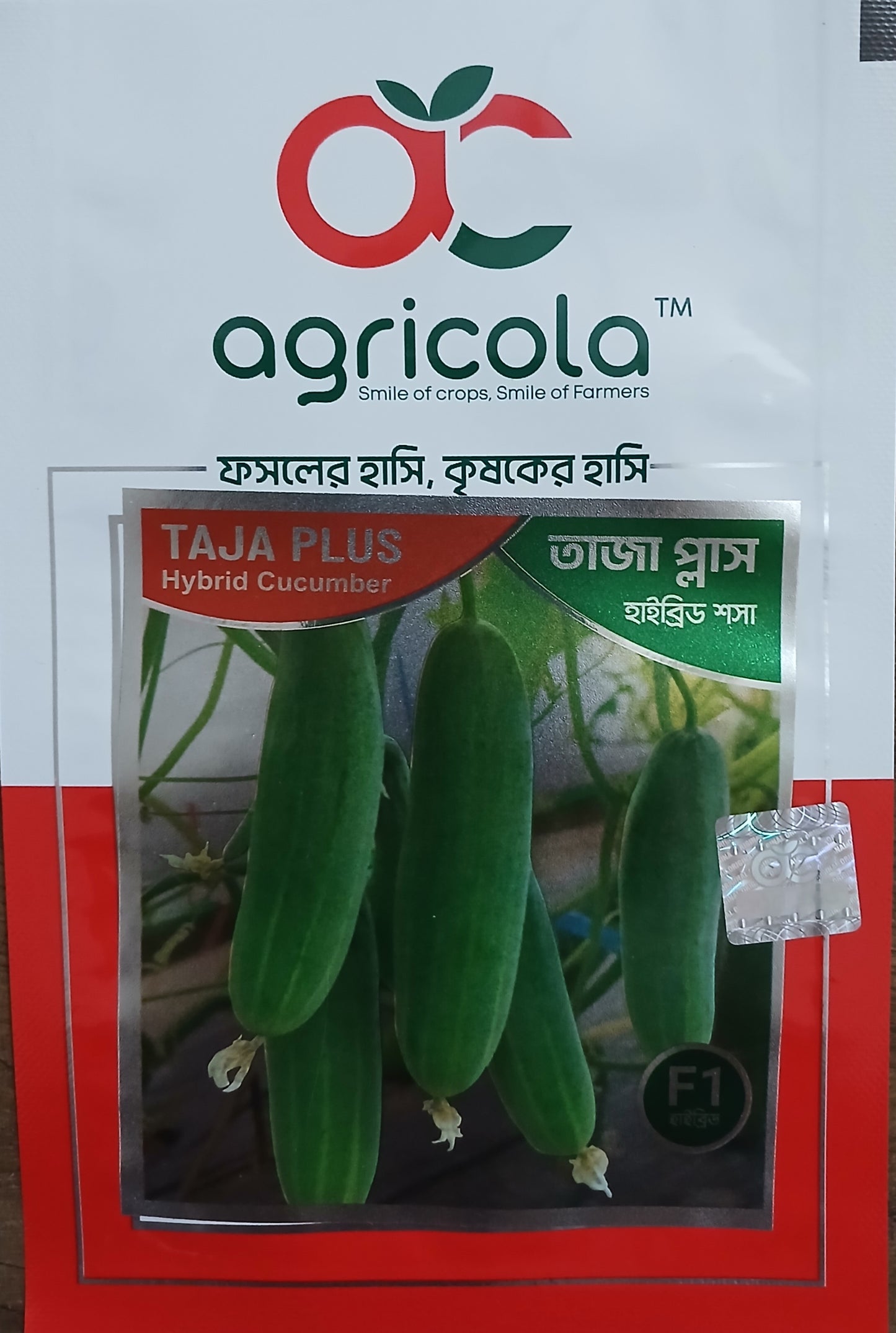 হাইব্রীড শসা বীজ-তাজা প্লাস (Taja Plus)|এগ্রিকোলা লিমিটেড