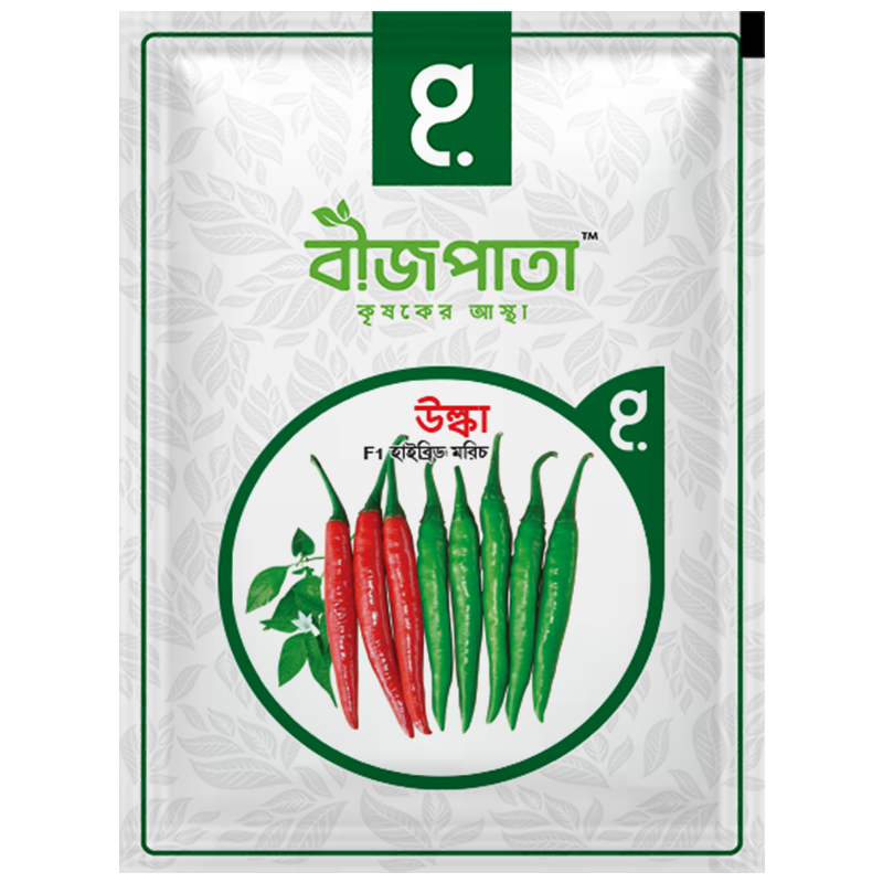 উল্কা এফ১-হাইব্রিড মরিচ বীজ|বীজপাতা|Ulka- Chili Pepper Seed|Bizpata