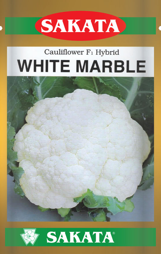 W.Marble - Malik Seeds