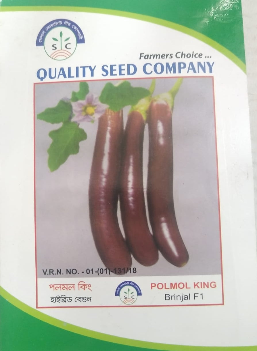 হাইব্রিড বেগুন - পলমল কিং