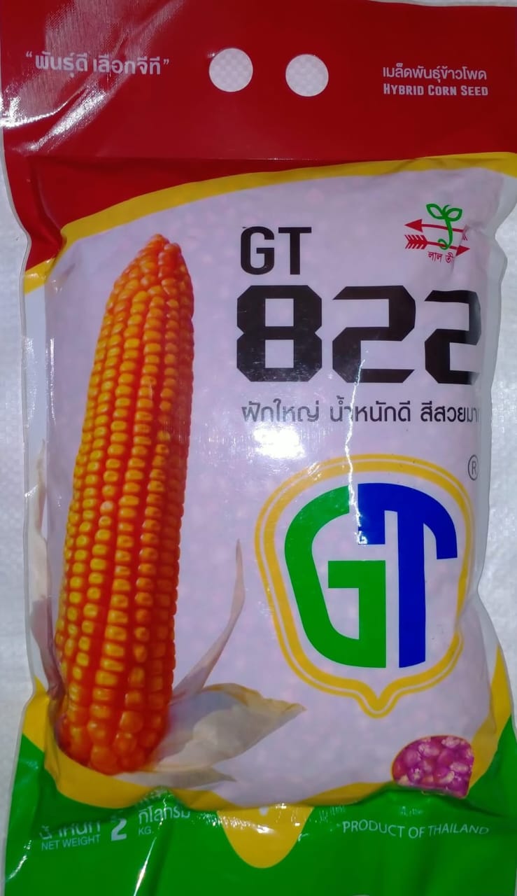 হাইব্রিড ভূট্টা -জিটি ৮২২। লাল তীর।Hybrid Maize- GT822। Lal teer