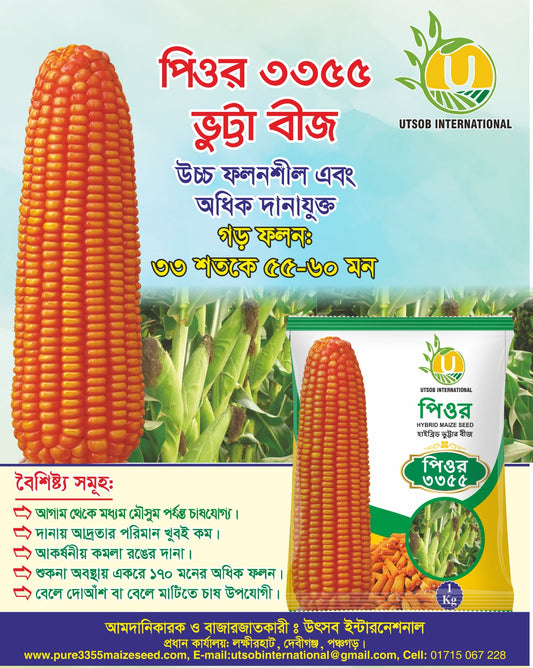 পিওর ৩৩৫৫|হাইব্রিড ভূট্টা বীজ|উৎসব ইন্টারন্যাশনাল|Pior 3355|Hybrid Maize Seed