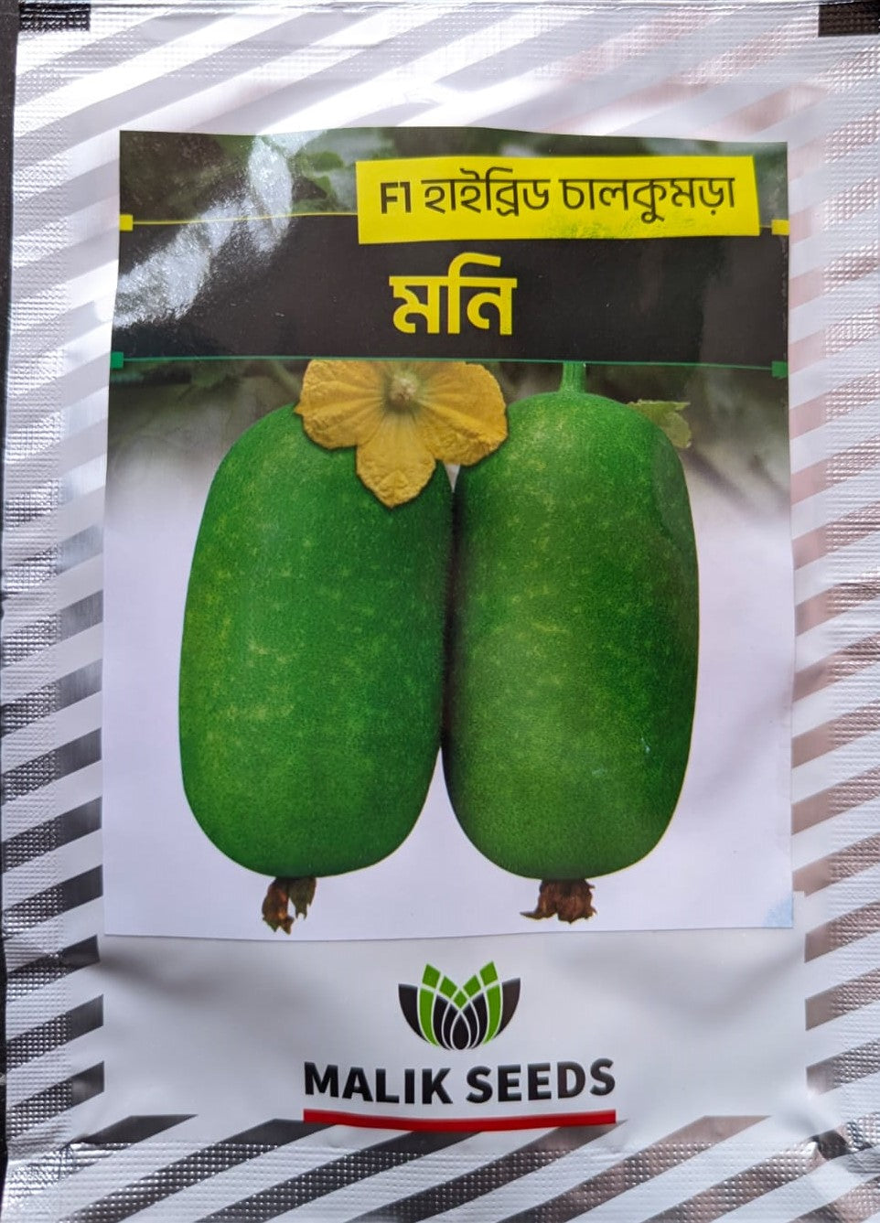 হাইব্রিড চালকুমড়া-মনি । এ আর মালিক সীডস ।Hybrid Wax Gourd-Moni।AR Malik Seeds