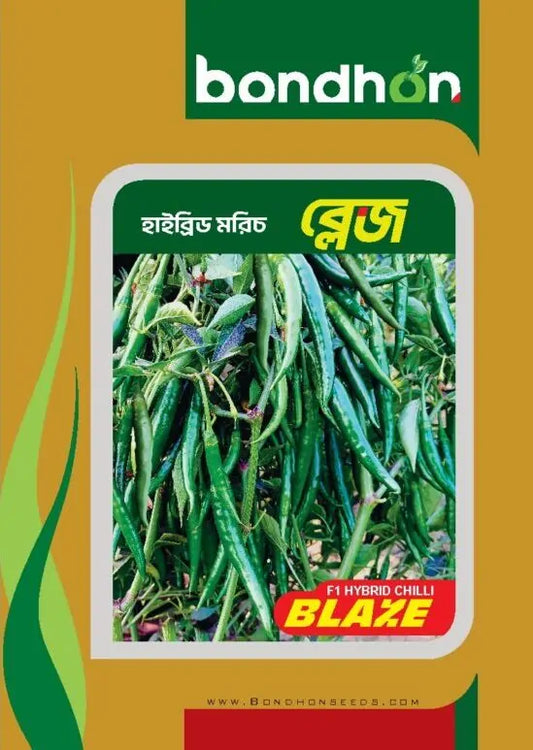 হাইব্রিড মরিচ- ব্লেজ ।বন্ধন সীডস । hybrid chilli - Blaze। Bondhon seeds