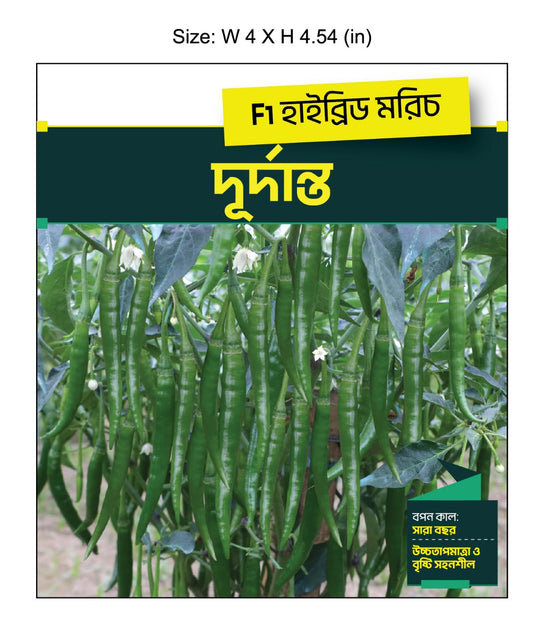 chilli_durdanto_ar_malik_seed
